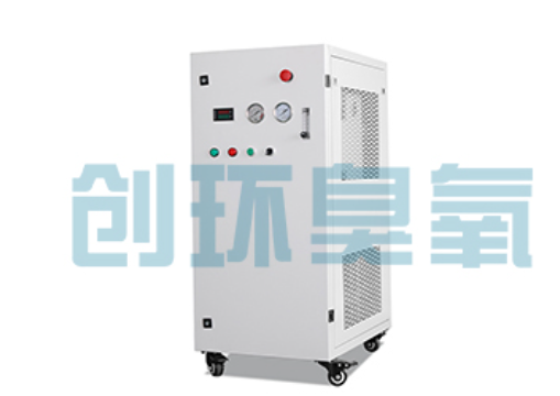 乌海石斑鱼养殖水质调控完整指南:臭氧发生器配置与操作步骤