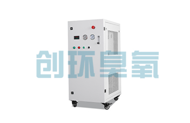 乌海比传统换水更高效?臭氧发生器在石斑鱼养殖中的水质净化原理解析